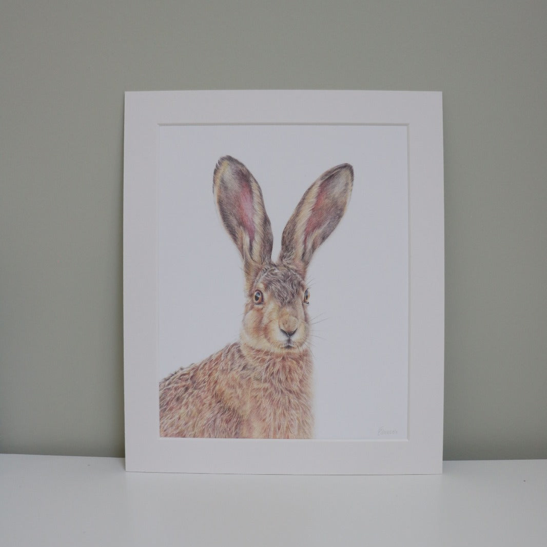 Hartley Hare - Large Print