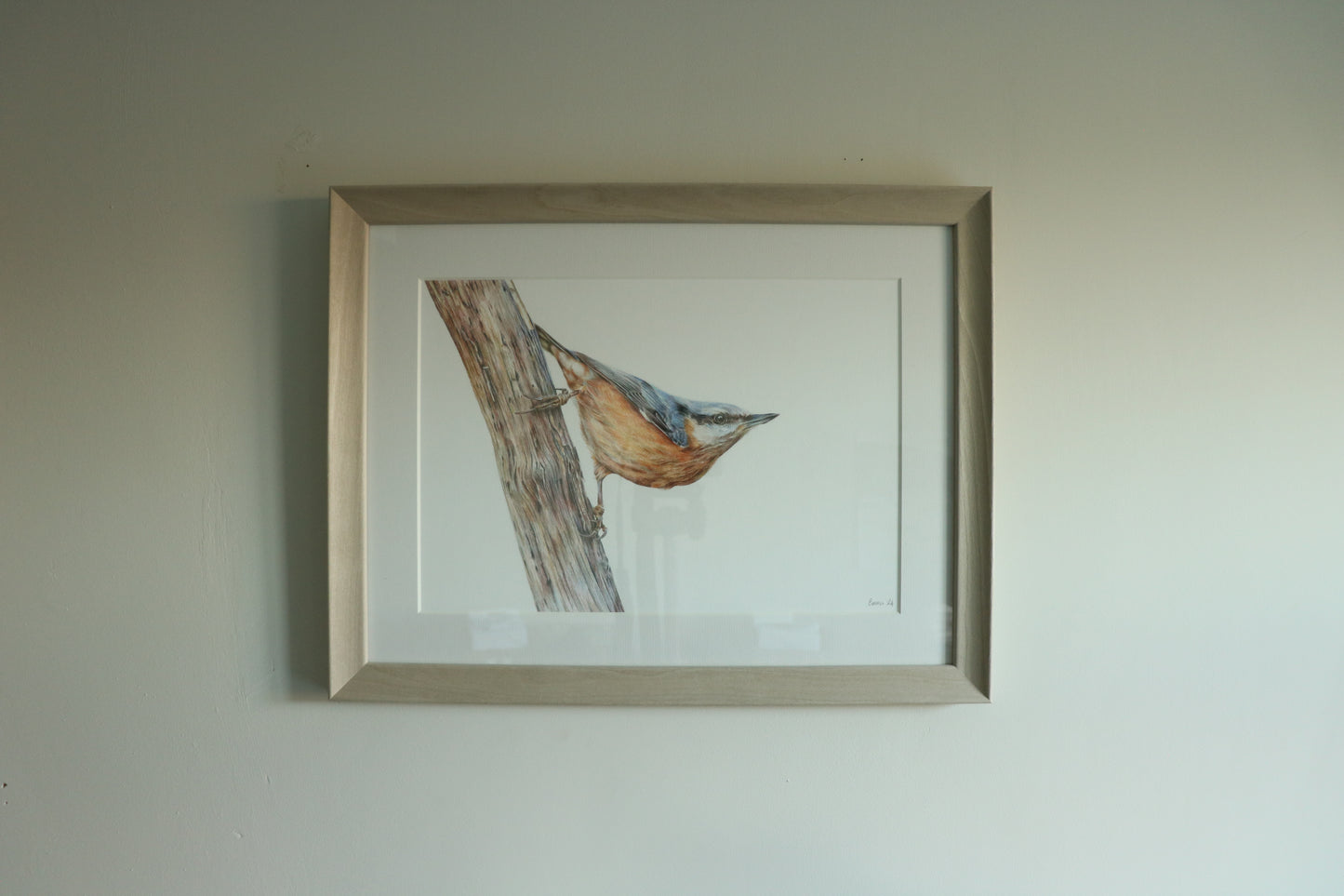 Nuthatch - Framed Original