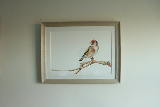 Goldfinch - Framed Original