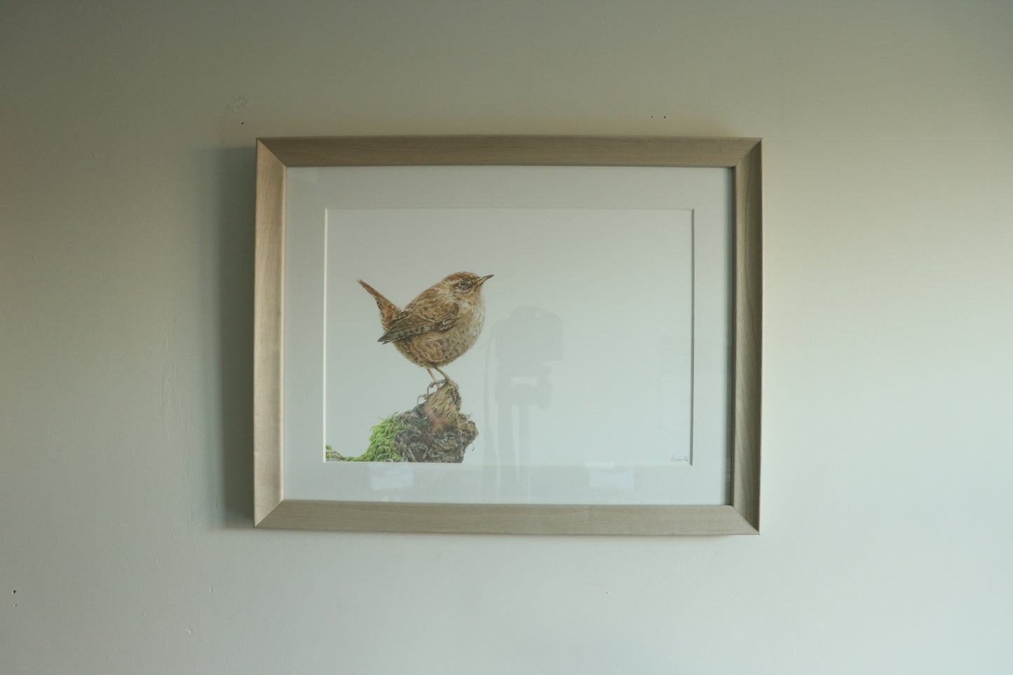 Wren - Framed Original