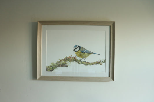 Blue Tit - Framed Original