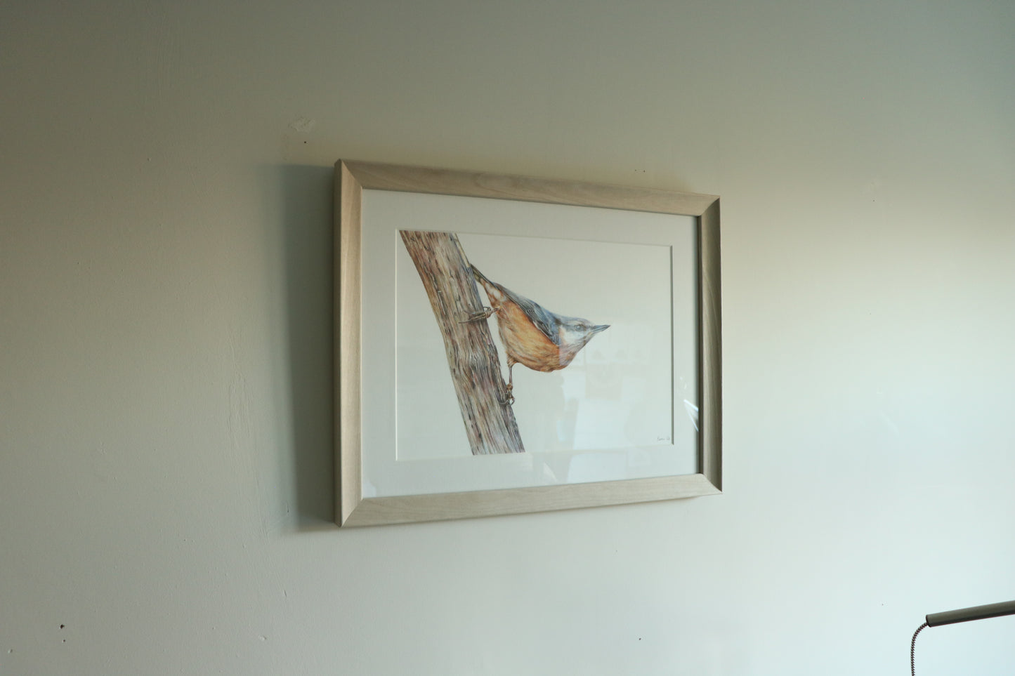 Nuthatch - Framed Original
