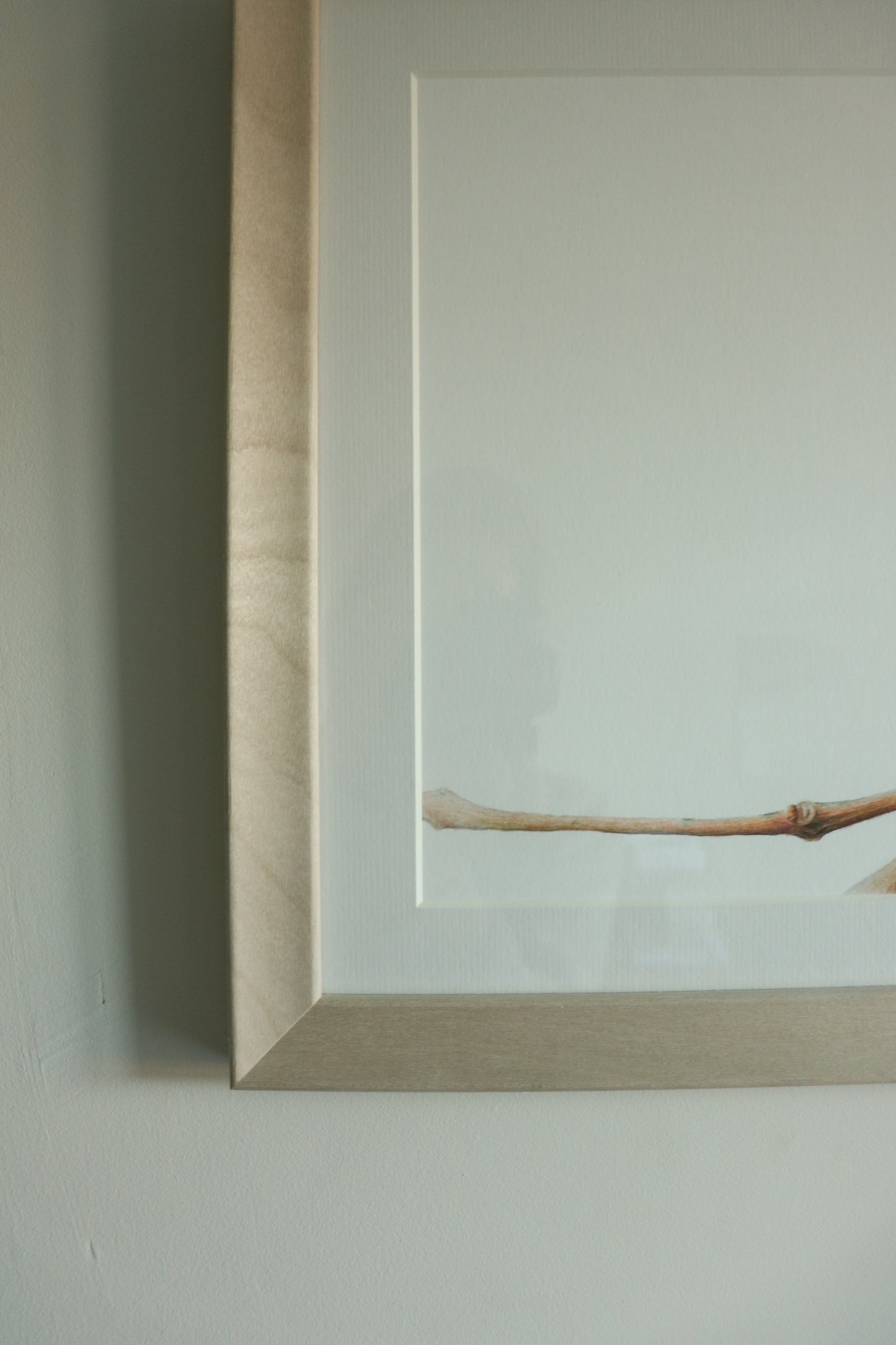 Goldfinch - Framed Original