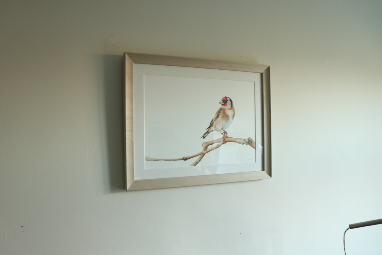 Goldfinch - Framed Original
