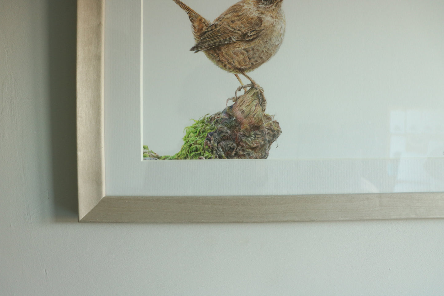 Wren - Framed Original