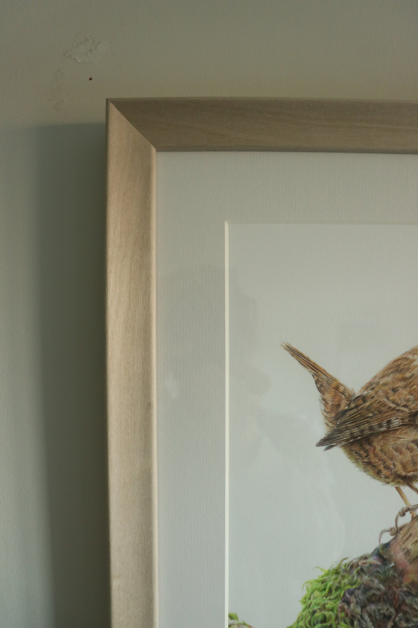 Wren - Framed Original