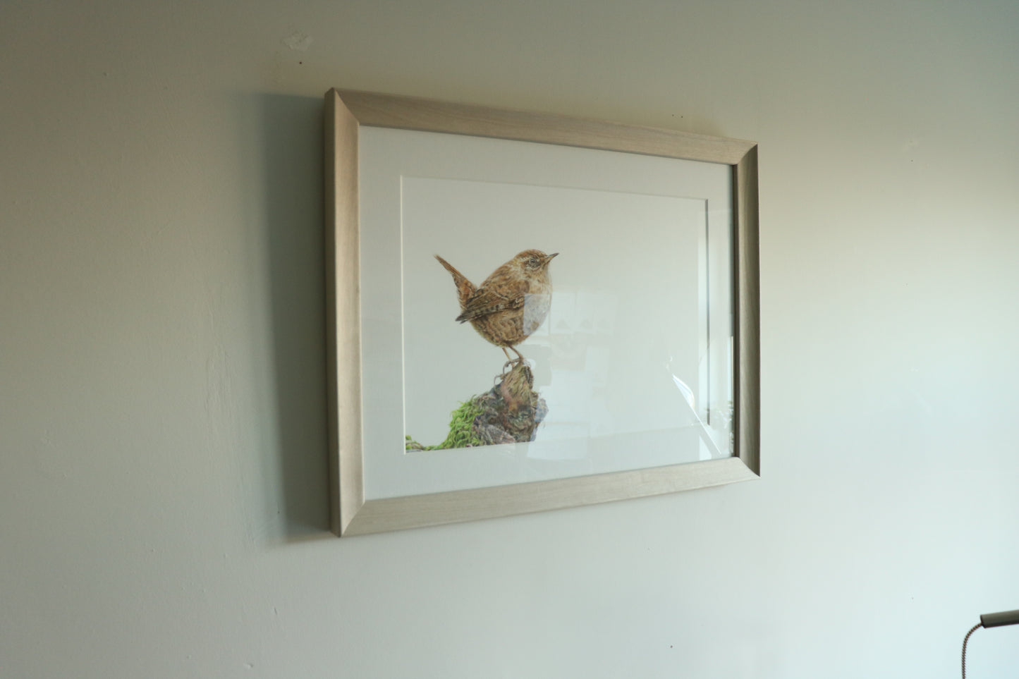 Wren - Framed Original