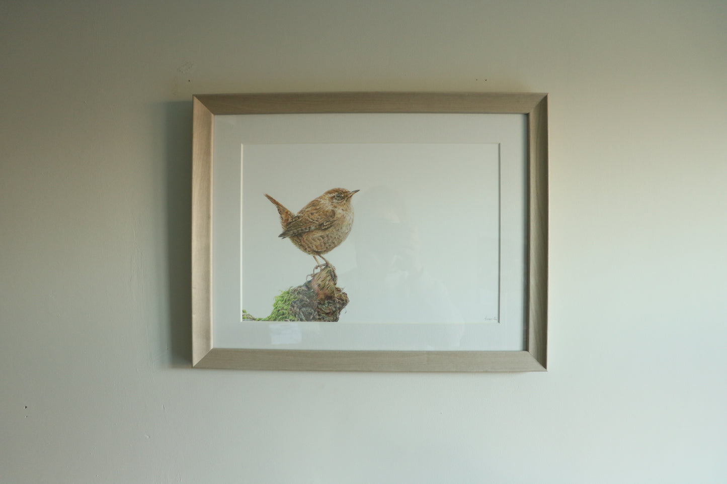 Wren - Framed Original