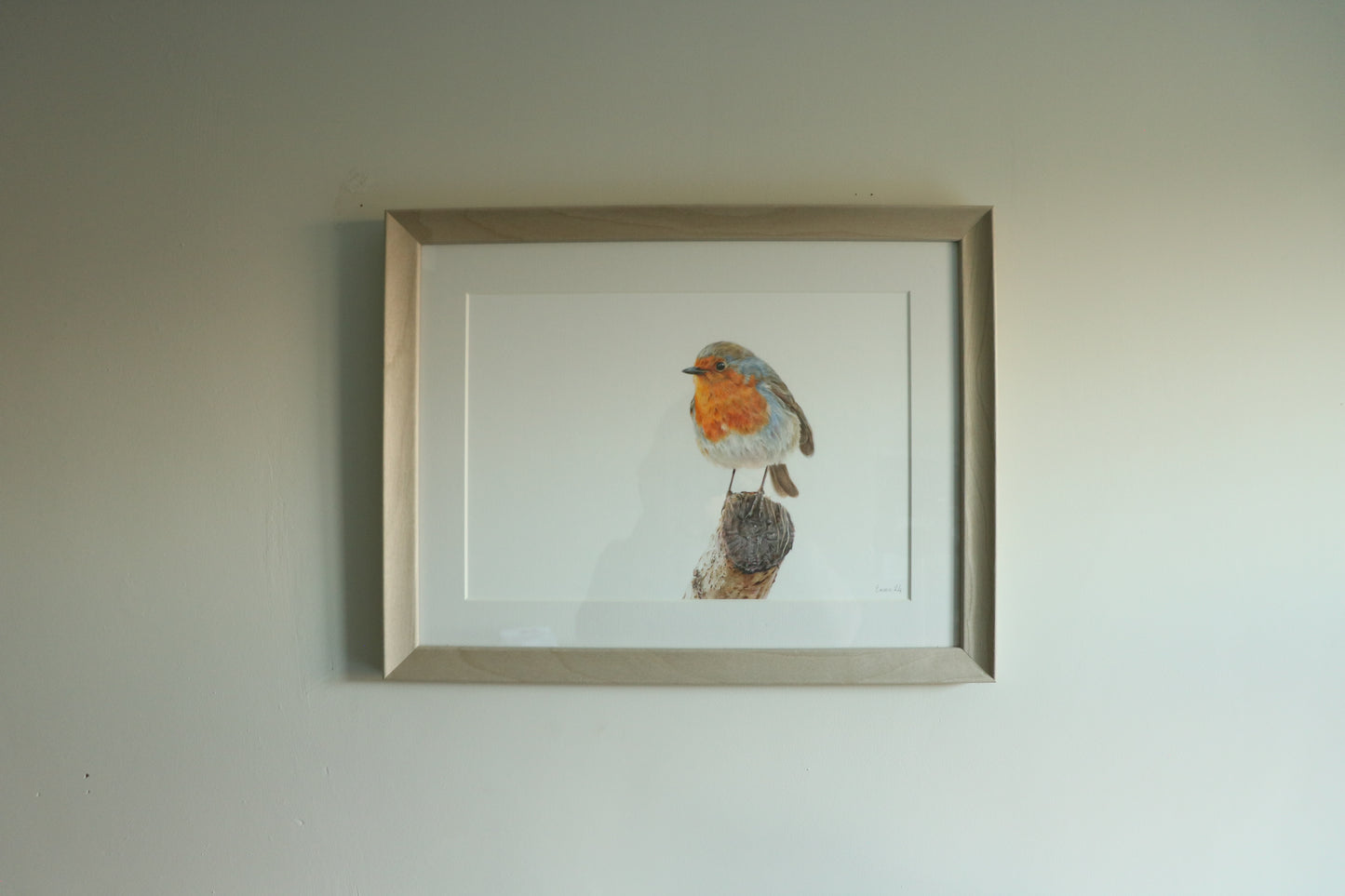 Robin - Framed Original