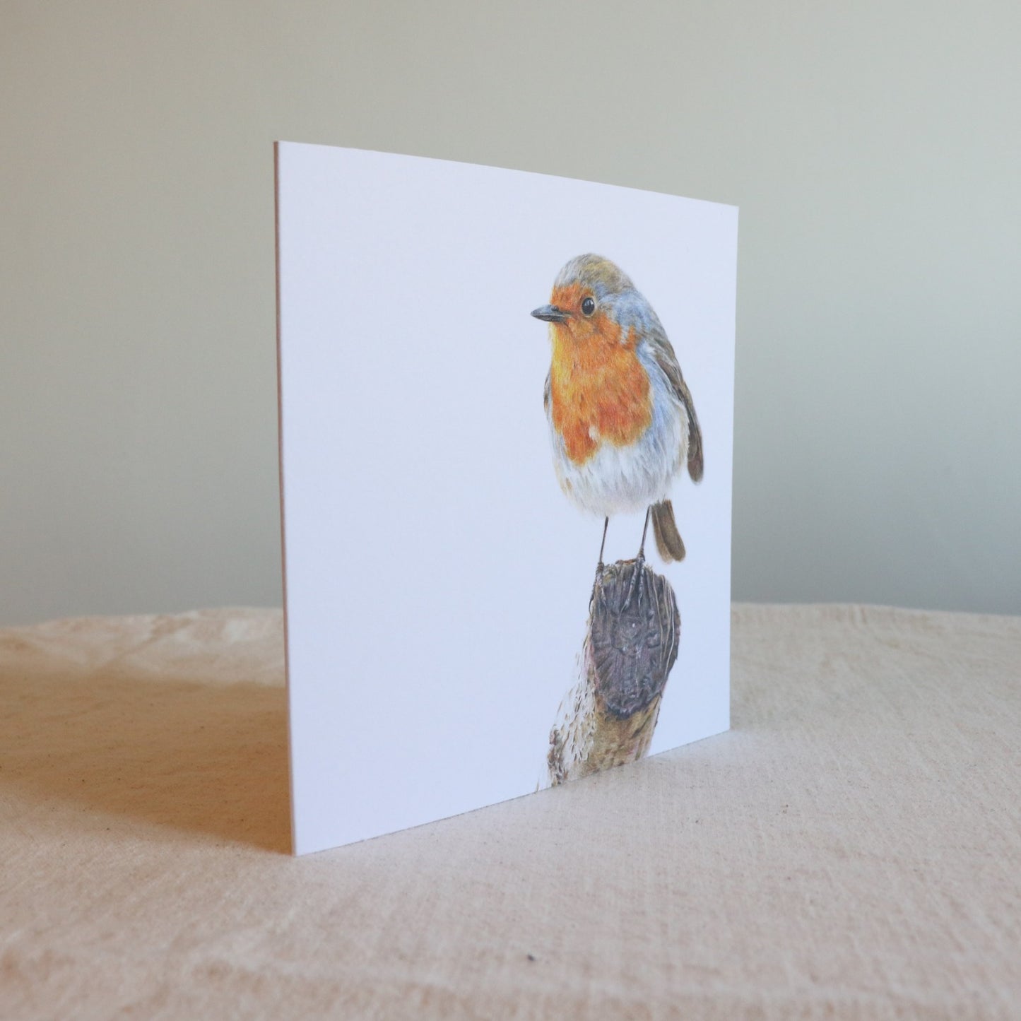 Robin - Greetings Card