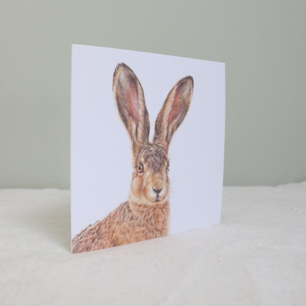 Hare Greetings Card