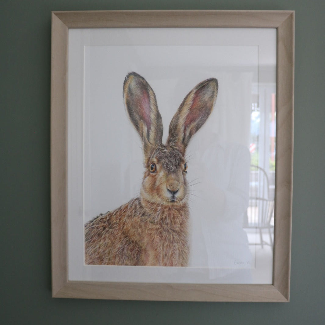 Hartley Hare - Original