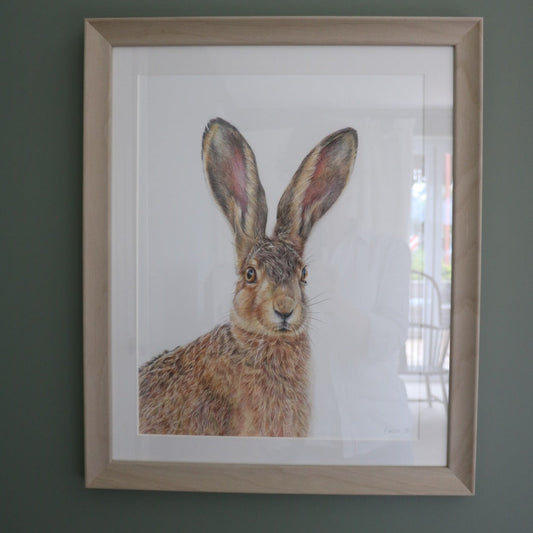 Hartley Hare - Original