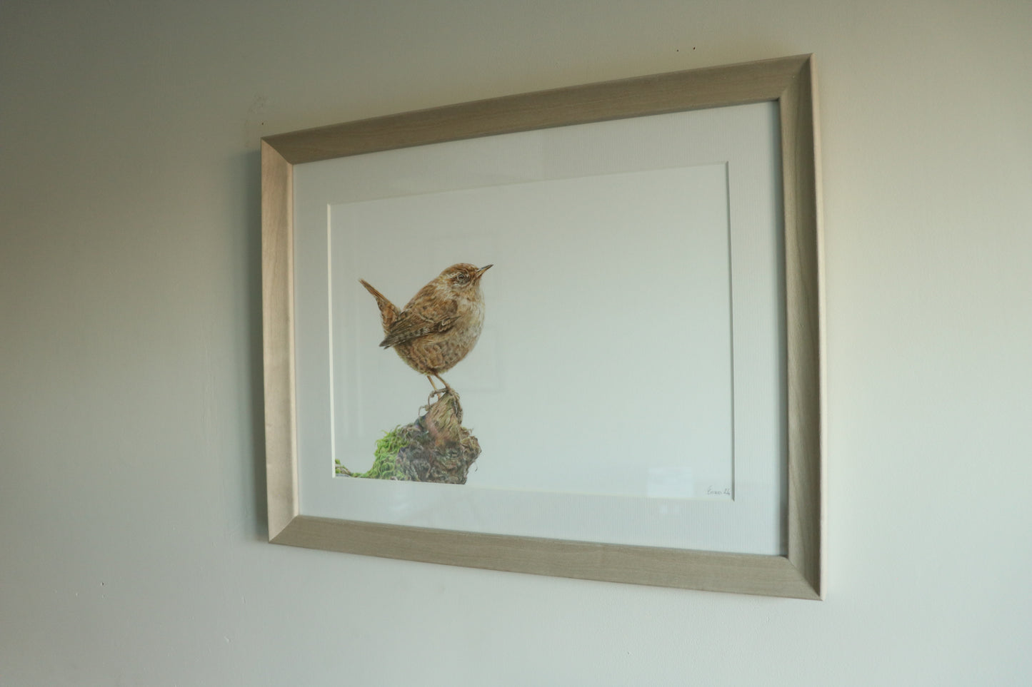 Wren - Framed Original