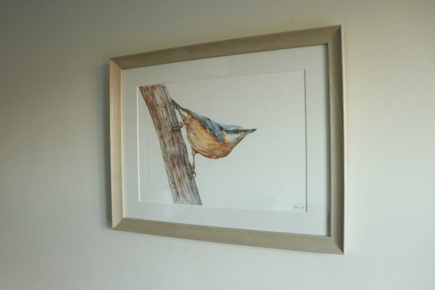 Nuthatch - Framed Original