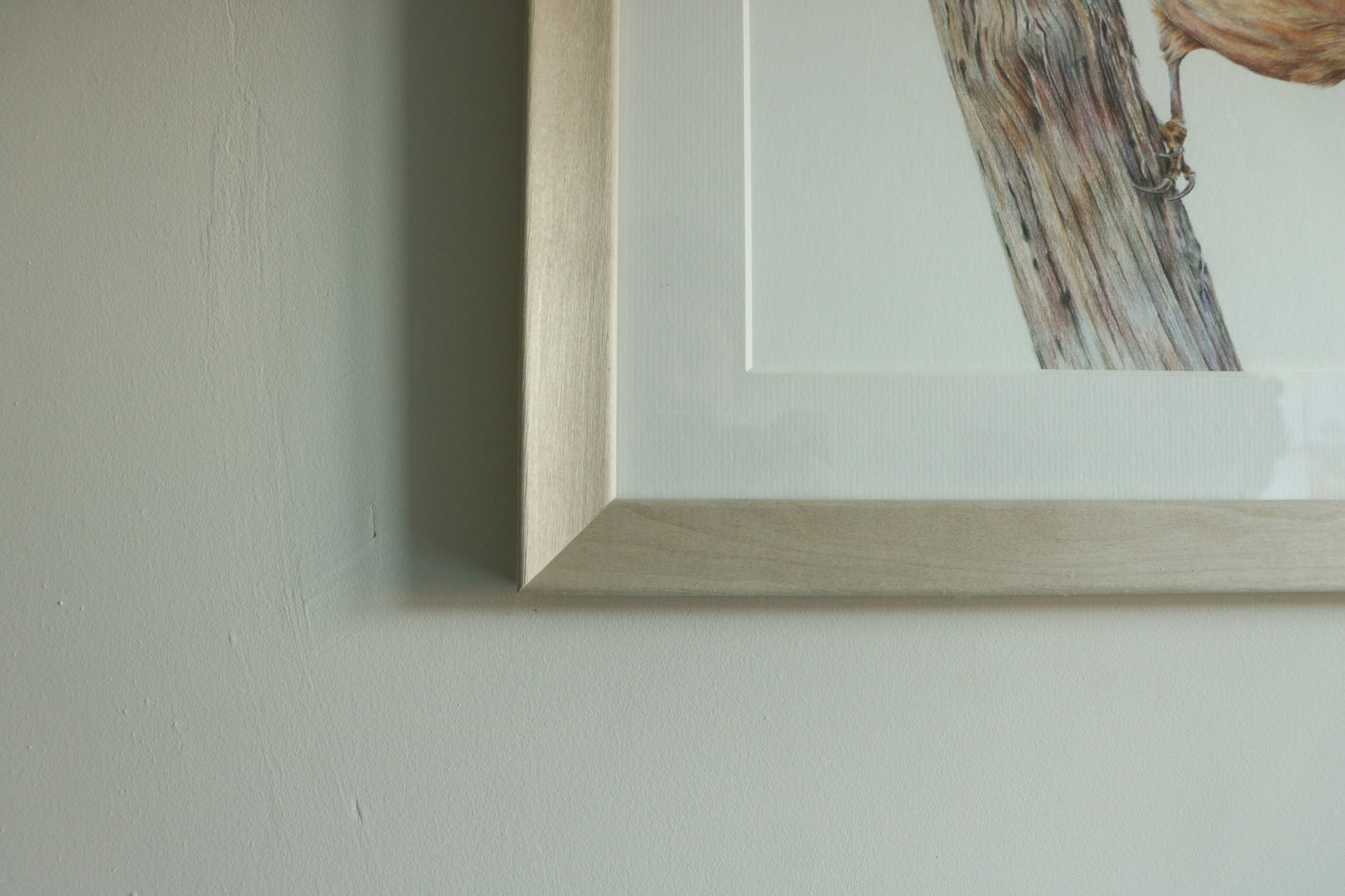 Nuthatch - Framed Original