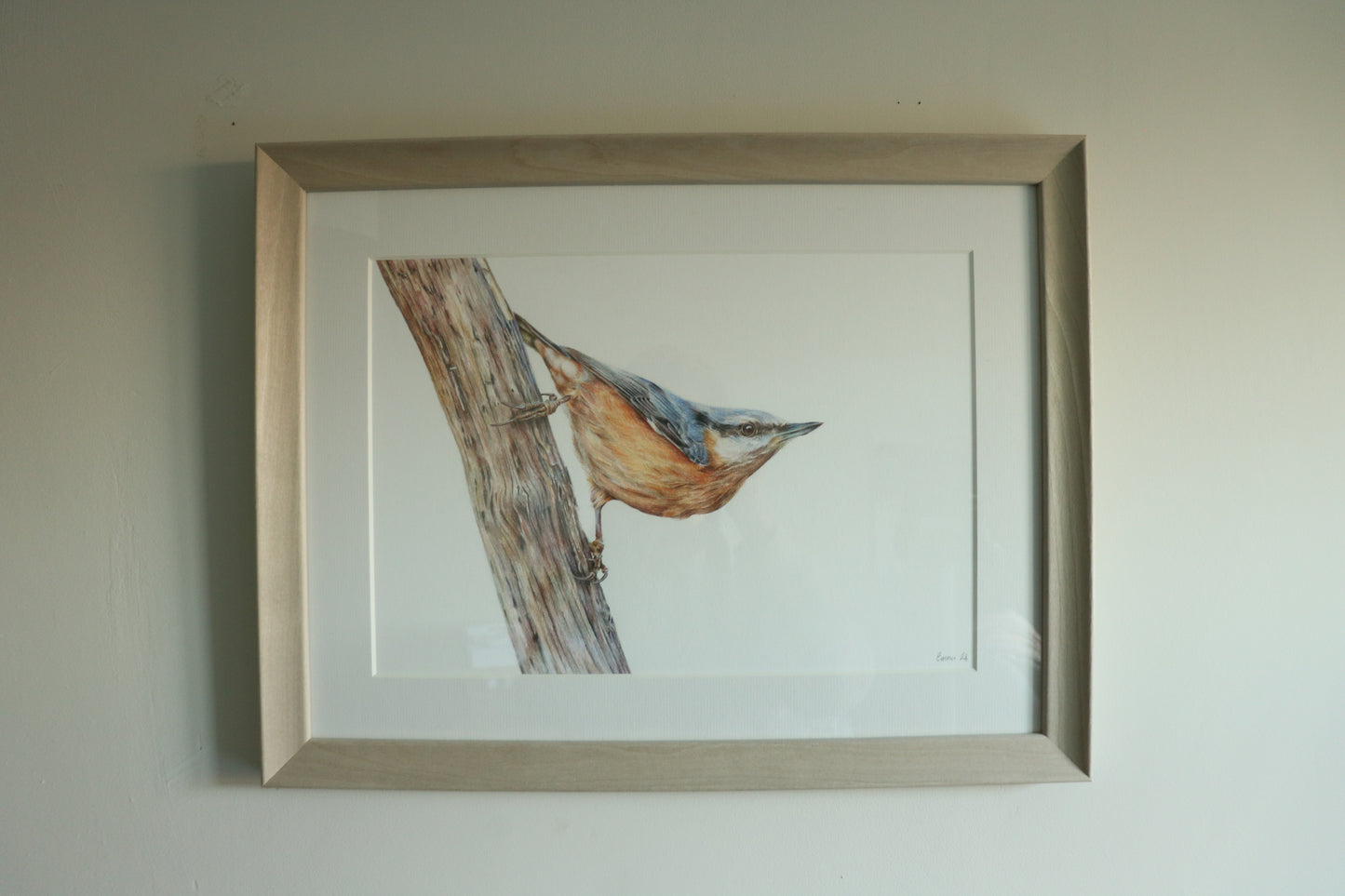 Nuthatch - Framed Original