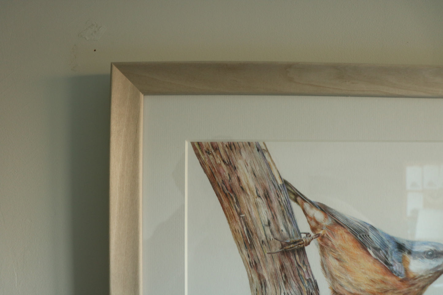 Nuthatch - Framed Original