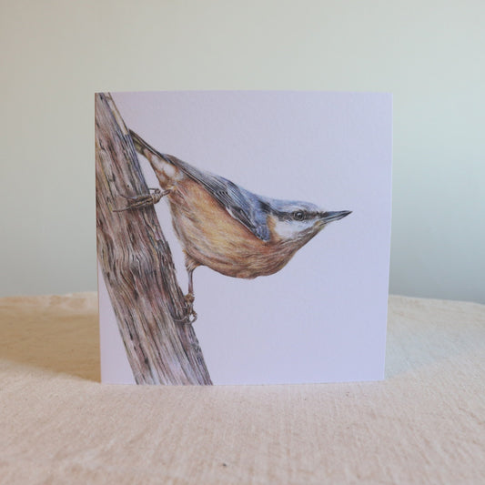 Nuthatch - Greetings Card