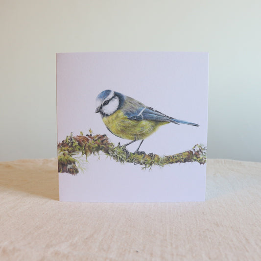 Blue Tit - Greetings Card