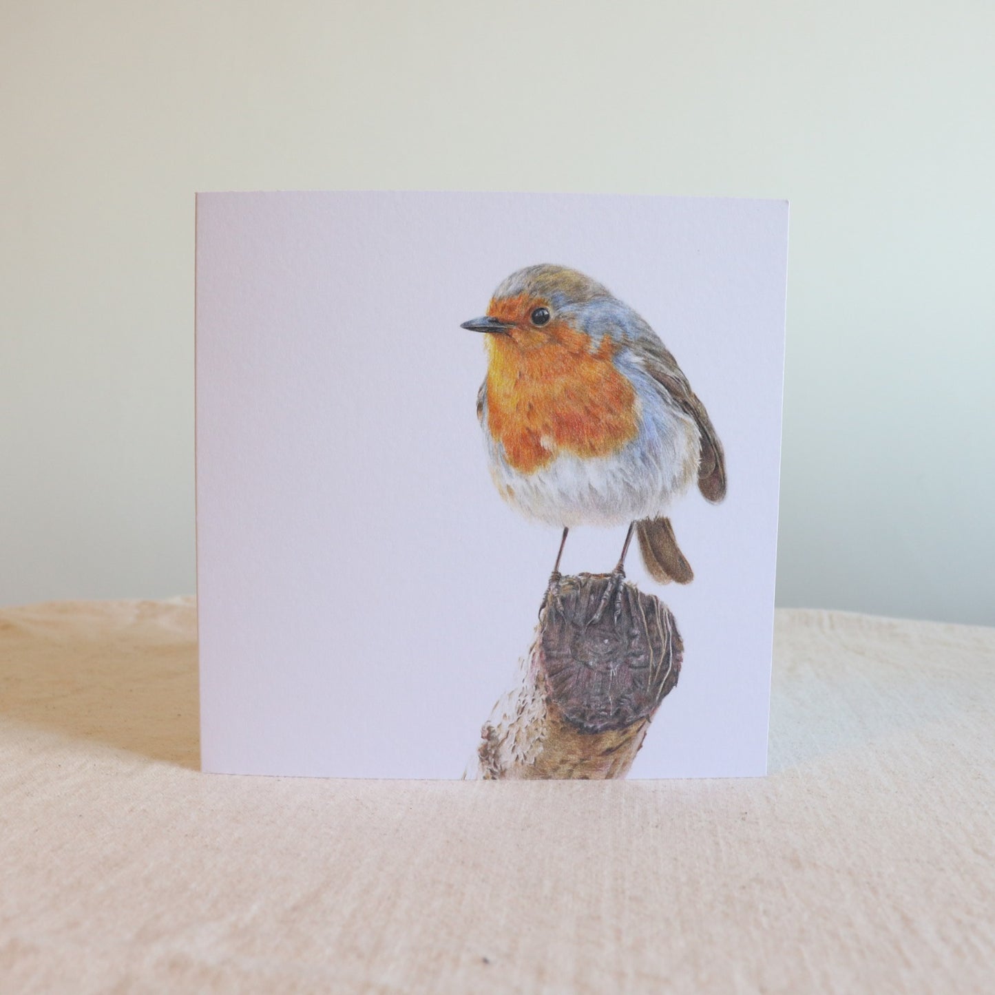 Robin - Greetings Card