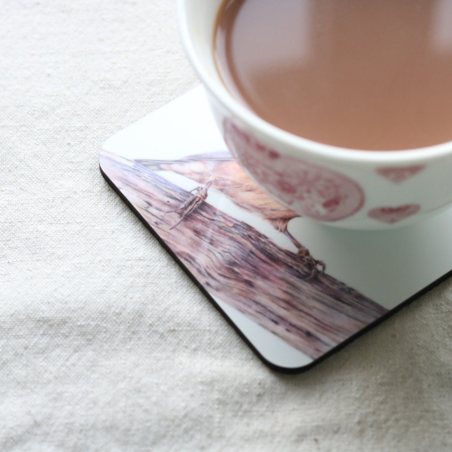 Nuthatch Coaster