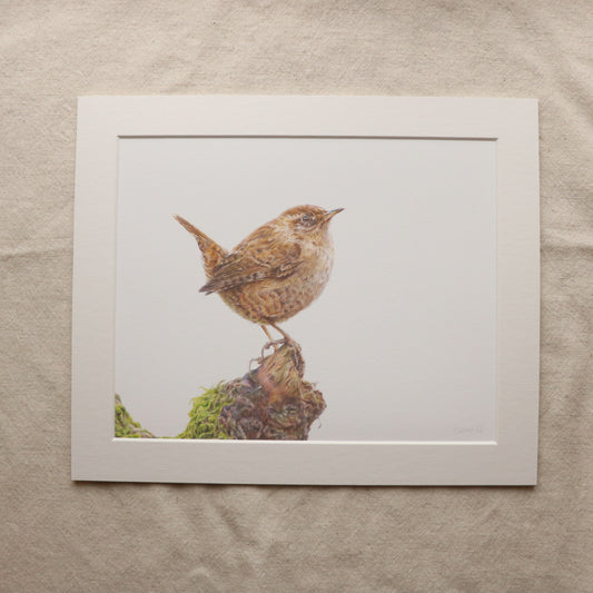 Wren - Print