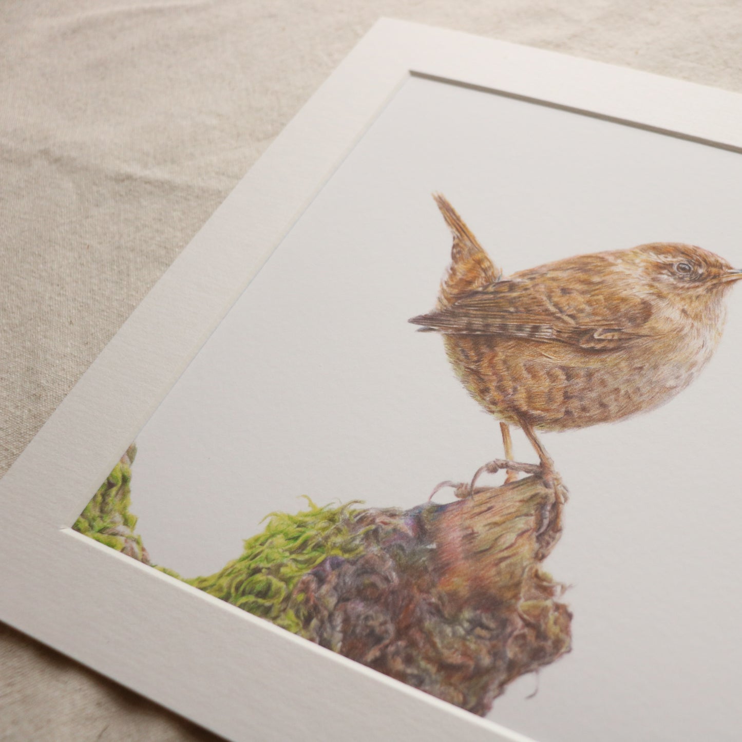 Wren - Print