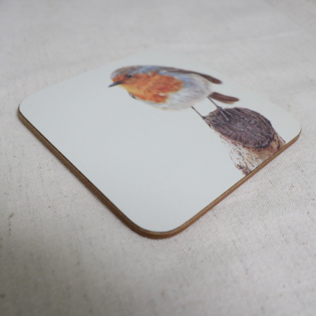 Robin Coaster