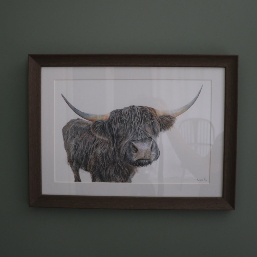 Hetty the Highland Cow - Framed Original