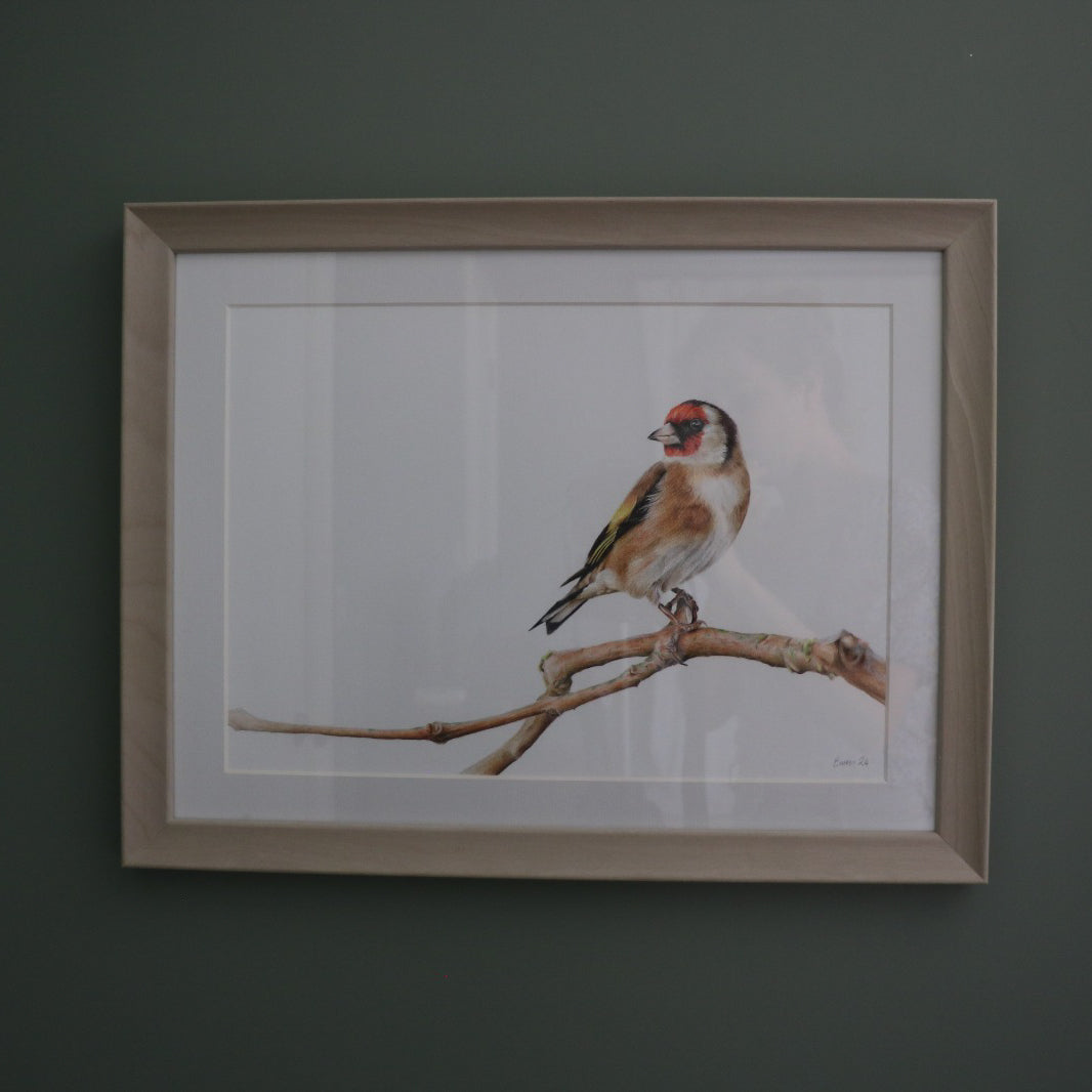 Goldfinch - Framed Original