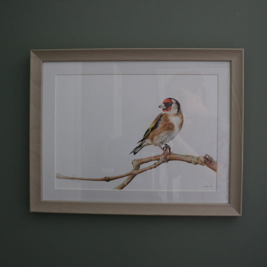 Goldfinch - Framed Original