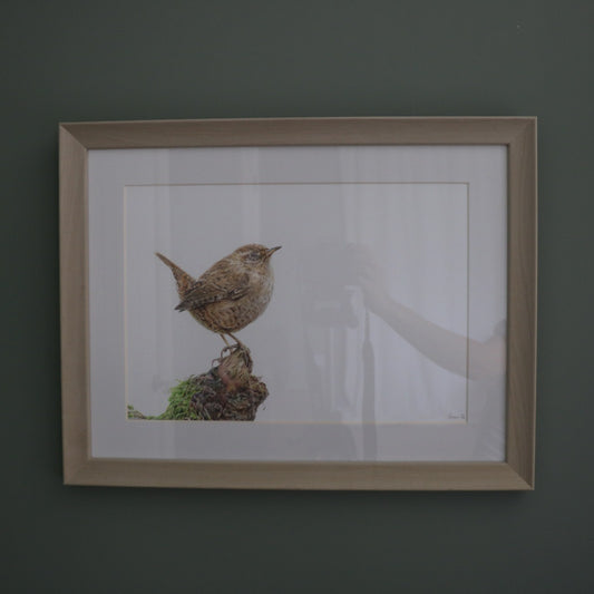 Wren - Framed Original