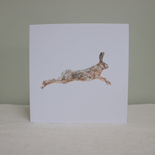 Leaping Hare - Greetings Card