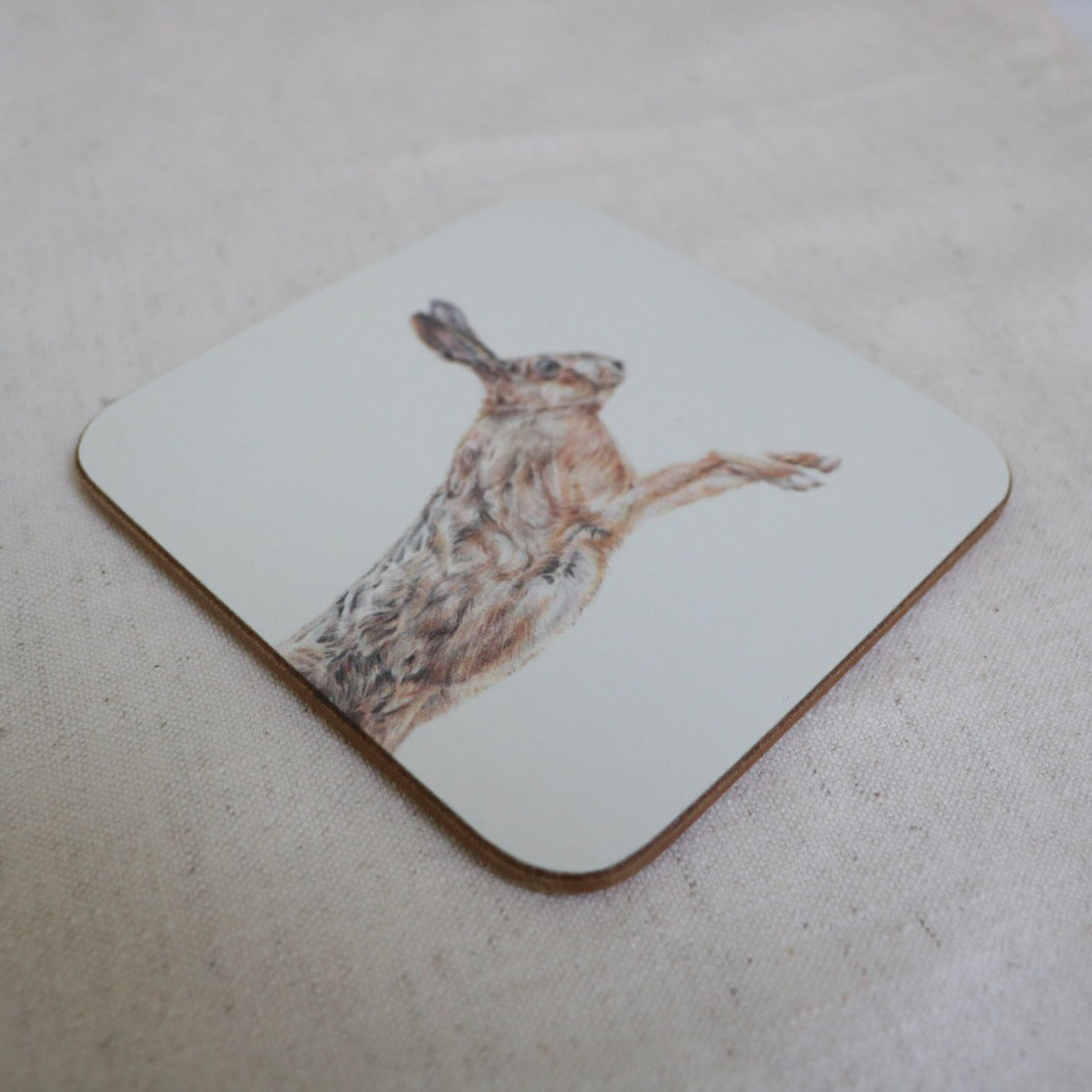 Leaping Hare Coaster