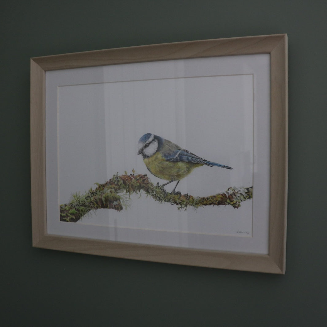 Blue Tit - Framed Original