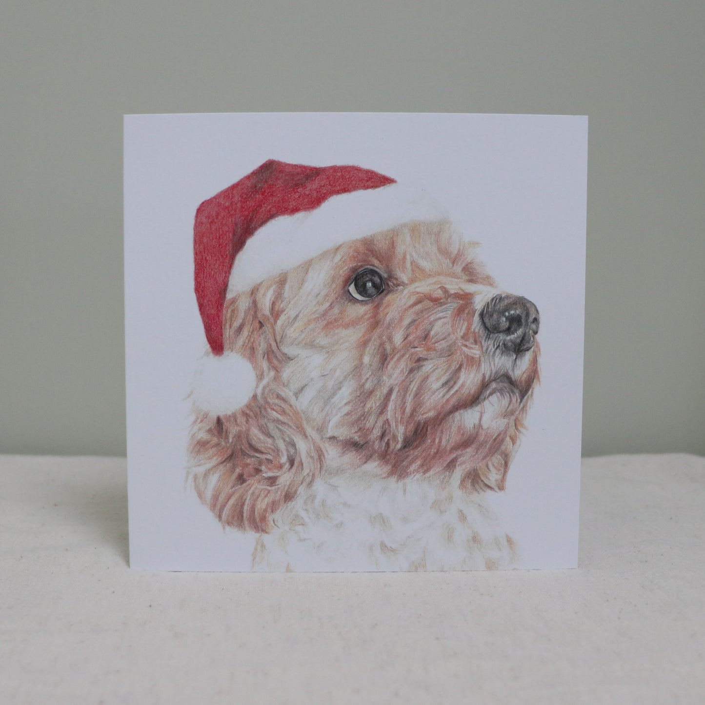 Cockapoo Christmas