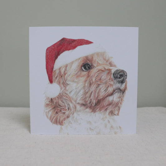 Cockapoo Christmas