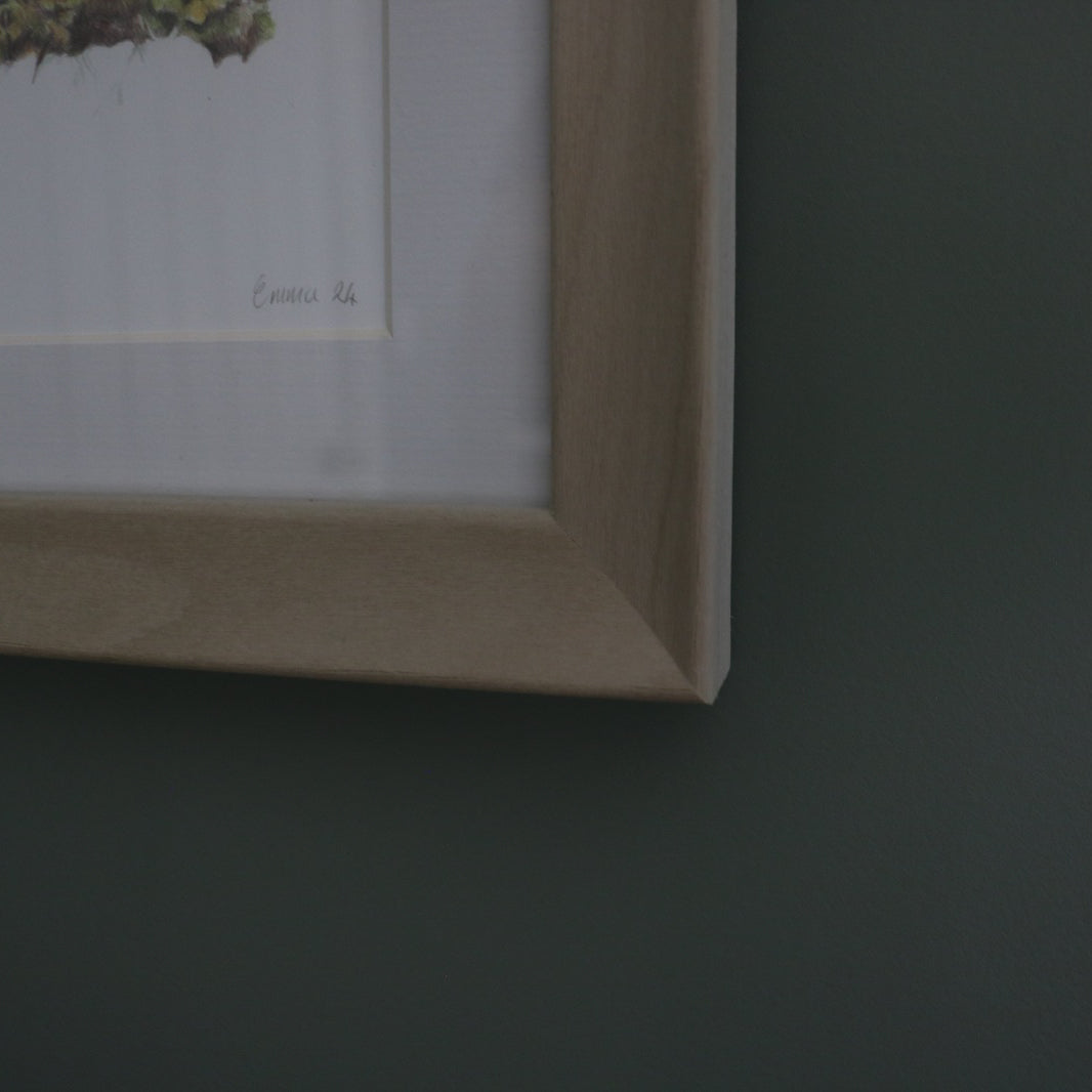 Blue Tit - Framed Original