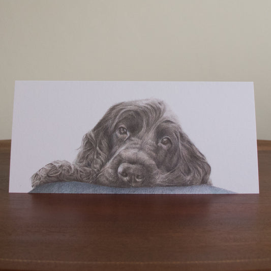 Sleepy Spaniel - Greetings Card