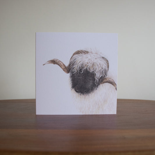 Vince the Valais black nose - Greetings Card