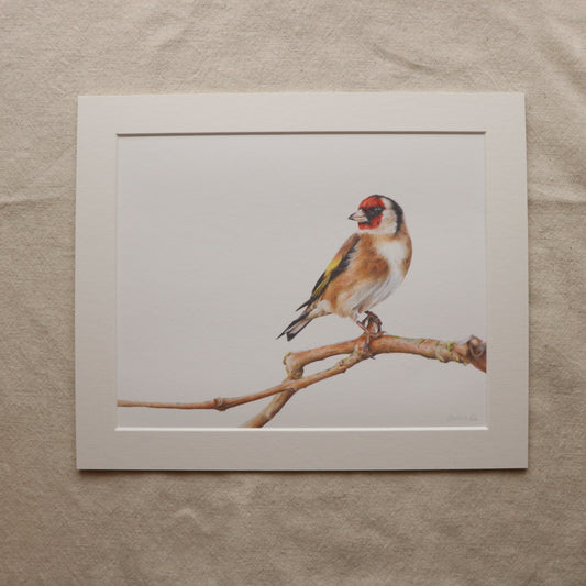 Goldfinch - Print