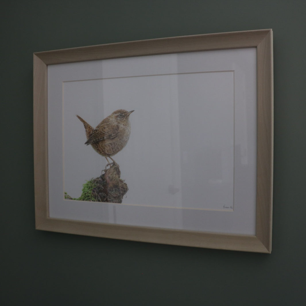 Wren - Framed Original