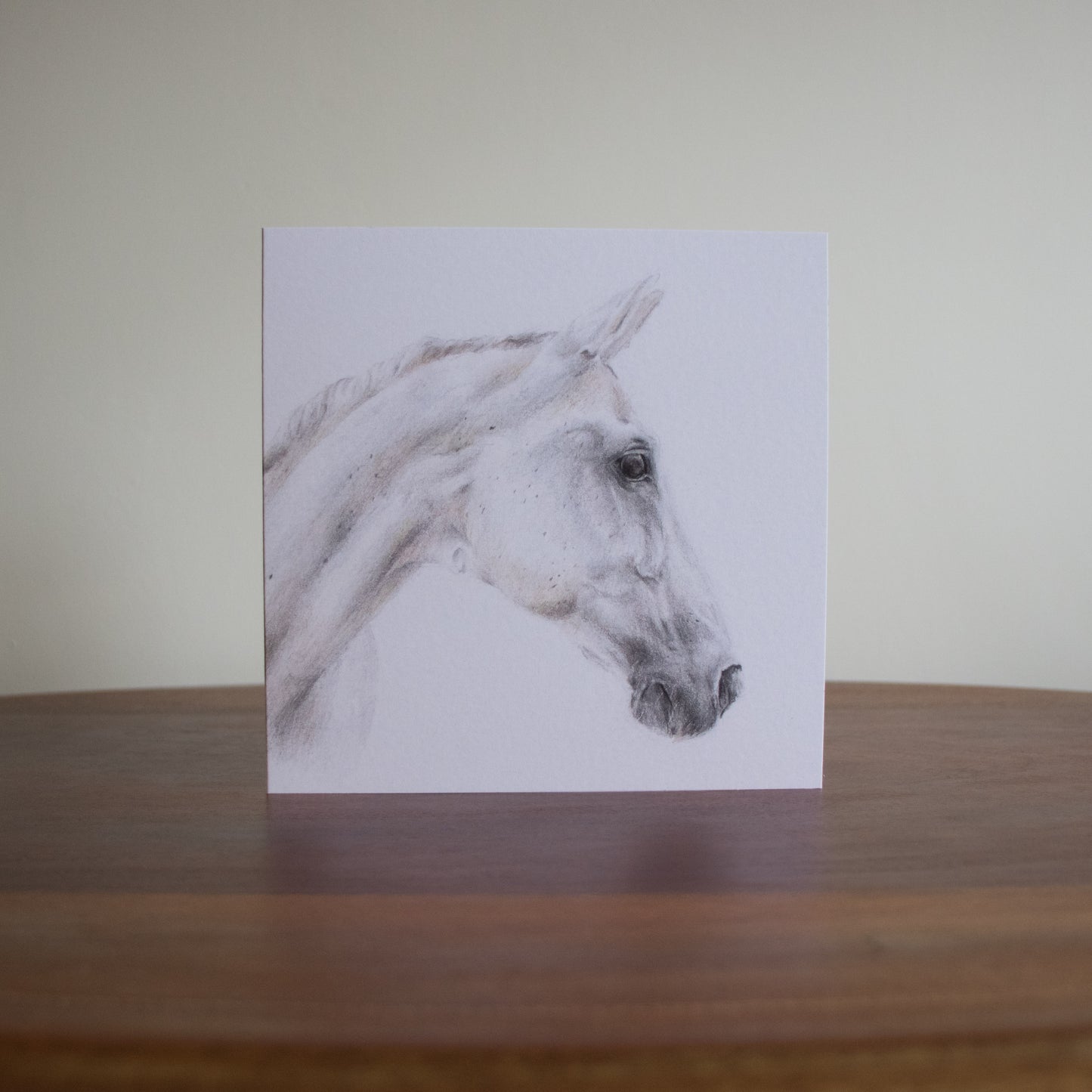 Dusty - Greetings Card