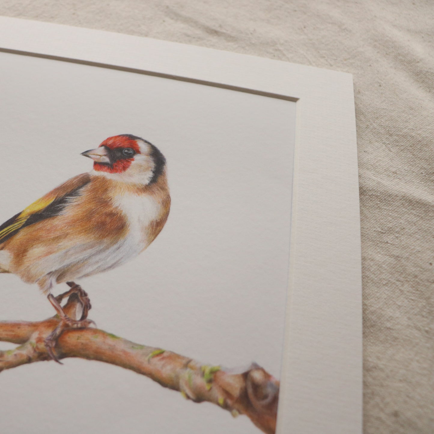 Goldfinch - Print