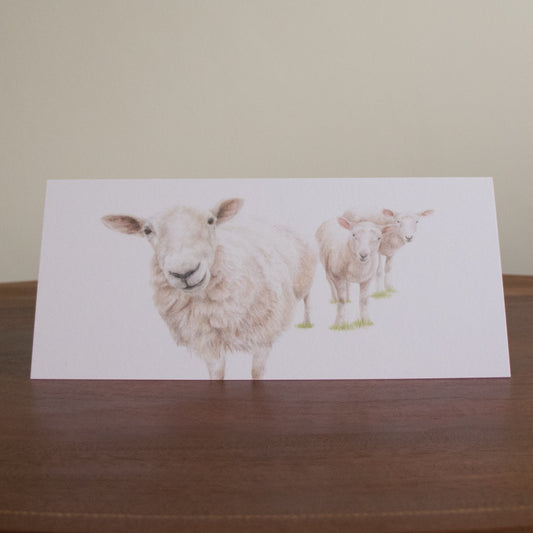 Hello Ewe - Greetings Card