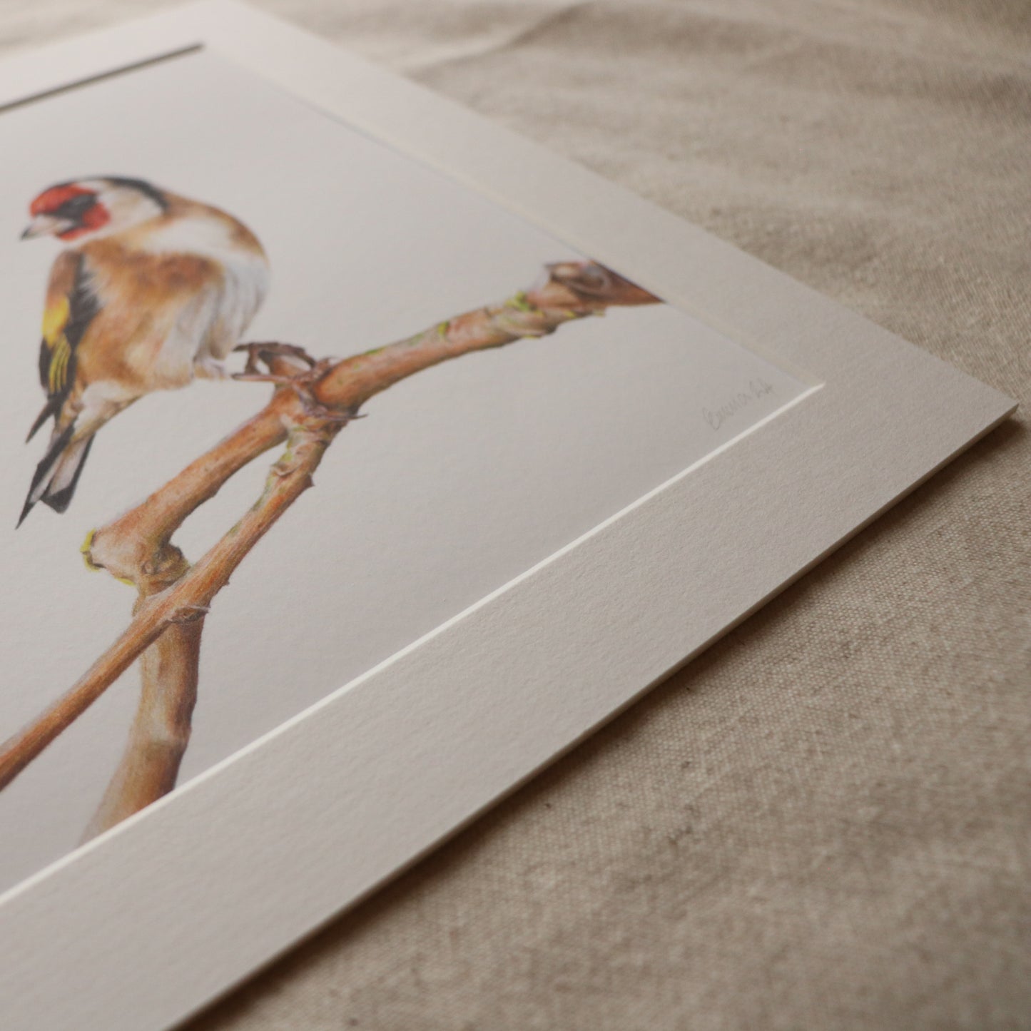 Goldfinch - Print