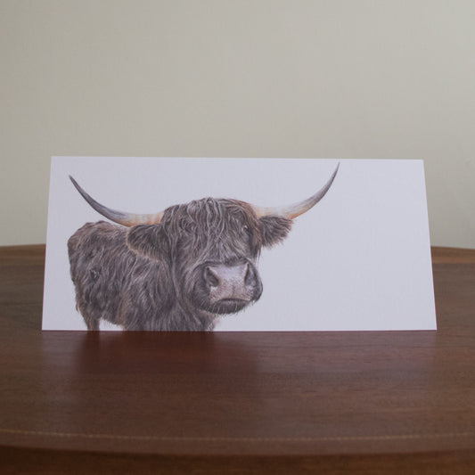 Hetty the Highland Cow