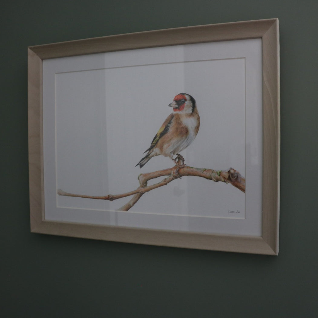 Goldfinch - Framed Original