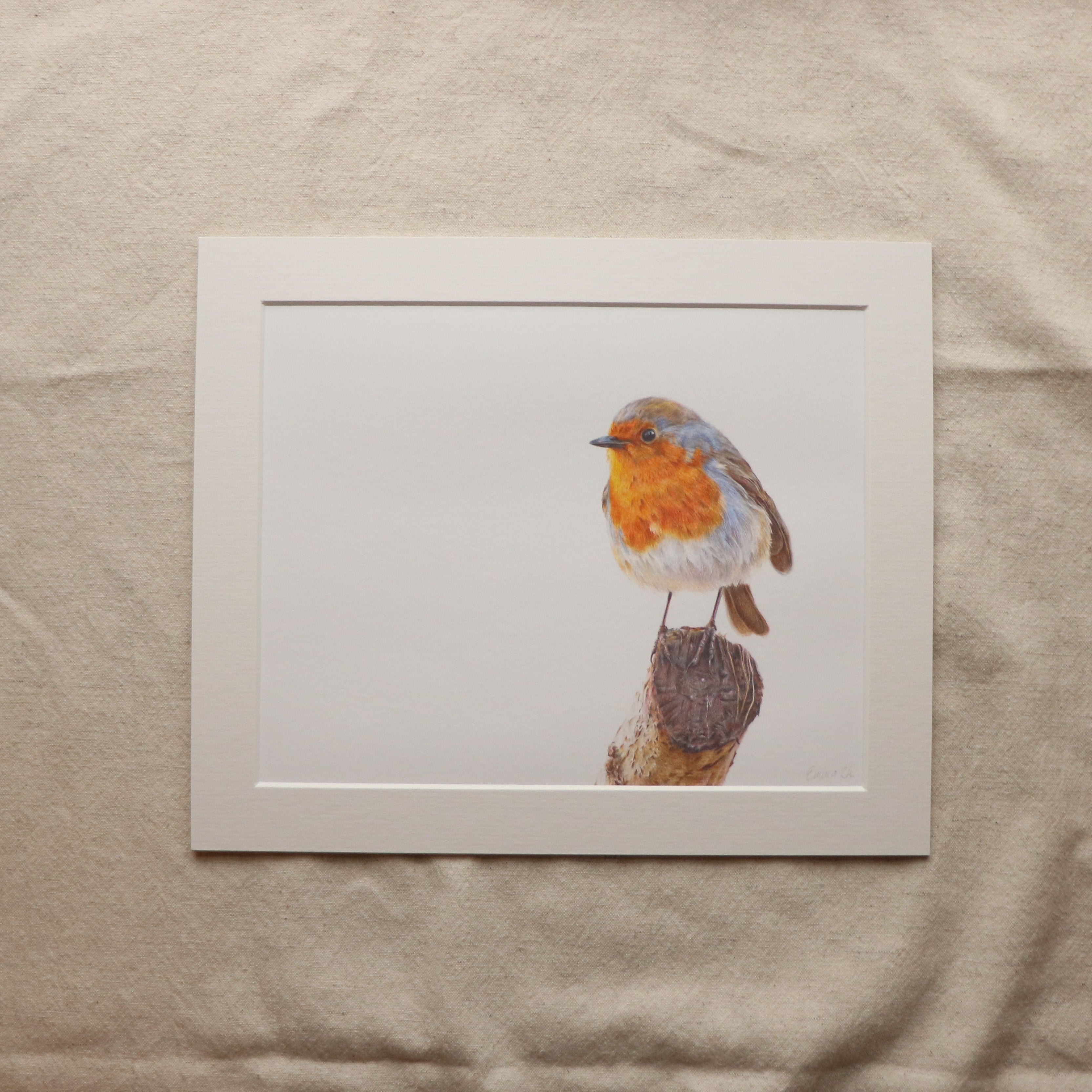 Prianta Robi Robin - Print – EmmaGleavePortraits